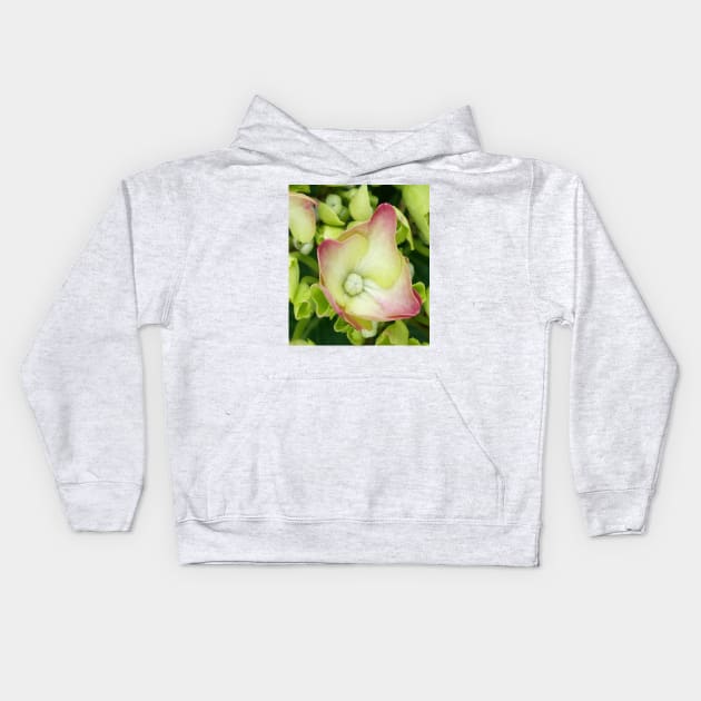 Hydrangea Kids Hoodie by robelf